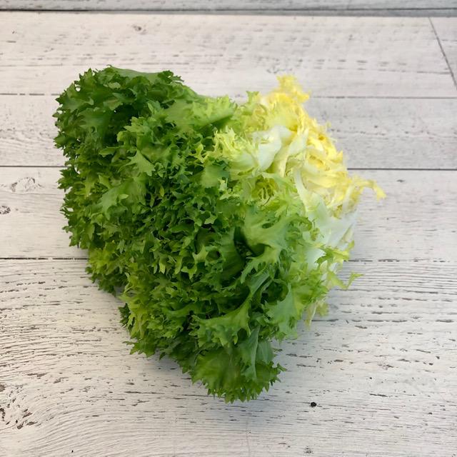 Frisee Lettuce