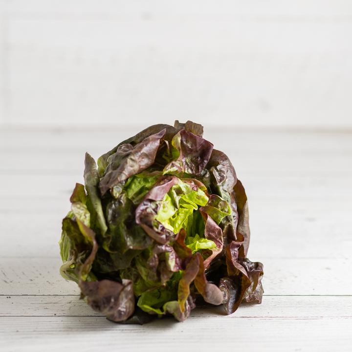 Red Butter Lettuce